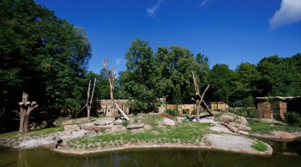 Der Münchner Tierpark Hellabrunn eröffnet seine neue Löwenanlage