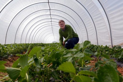 Geschmack und Regionalität stehen ganz vorne an:  Interview mit Helfried Eden, Betriebsleiter Landwirtschaft auf dem Hofgut Dagobertshausen von VILA VITA Marburg