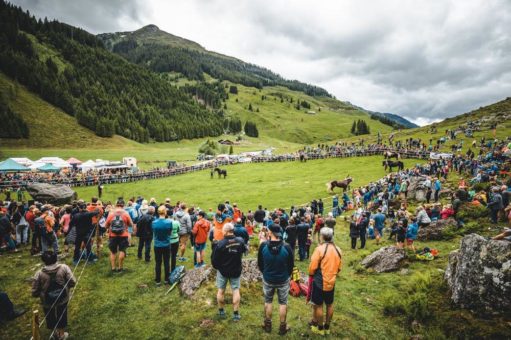 Ungezügelte Energie: Hengstauftrieb im Brixental