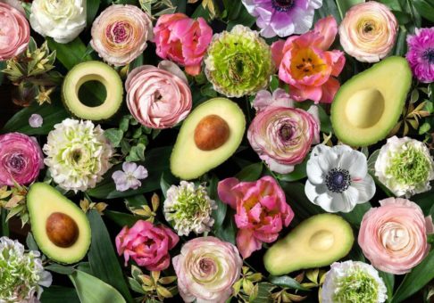 Holen Sie sich diesen Sommer den Avocado-Glow!  Was die Frucht des Lebens für Ihre Haut tun kann.