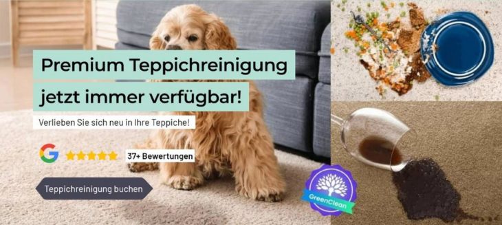 Wie sich My Fair Cleaning innovative, gesunde und nachhaltige Teppichreinigung einsetzt