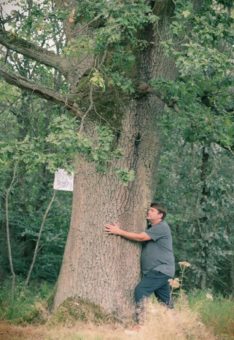 Peter Trabner spielt „Der Tod des Emphedokles“ mit Nationalpark-Baum