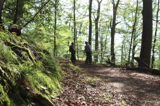 Wanderungen im Nationalpark mit Familie, Ranger, zu felsigen Hängen  oder inclusive Waldbaden