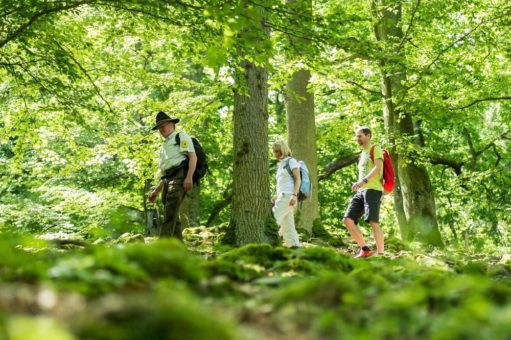 Wanderungen im Nationalpark auf der Suche nach Wildnis, Steigen und Begegnungen