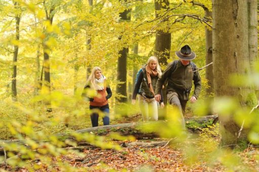 Veranstaltungen des Nationalparks Kellerwald-Edersee pausieren bis auf Weiteres