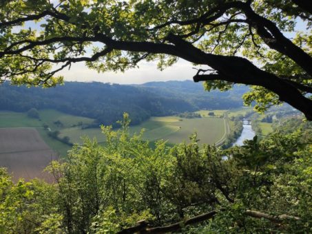 Wanderungen im Nationalpark zum Heimbach, Hagenstein und Wahrnehmen