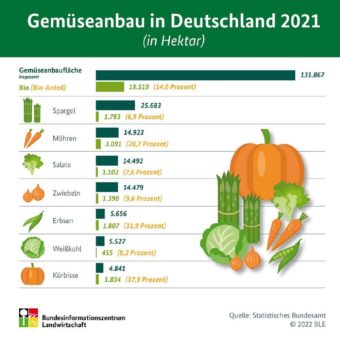 BZL auf einen Blick: Gemüseanbau in Deutschland 2021