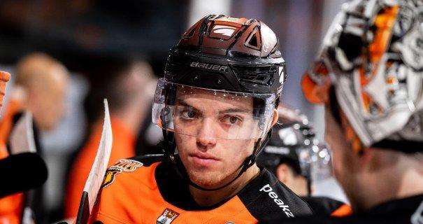 Grizzlys und Scorpions verlängern gemeinsame Kooperation