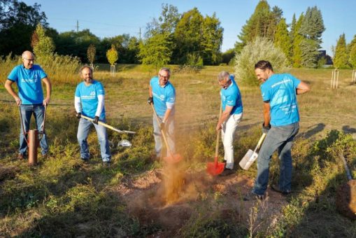 Helfer-Schar in blauen Shirts: 4.500 Menschen beim Freiwilligentag in Rhein-Neckar engagiert