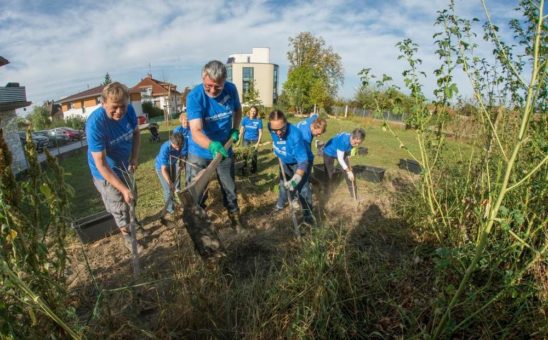 Die Metropolregion Rhein-Neckar packt gemeinsam an: Projekte für den Freiwilligentag 2018 gesucht