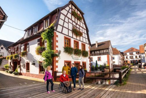 Mit Kennern durch Weindörfer und Wälder: Herbstliche Entdeckertouren im Rollstuhl