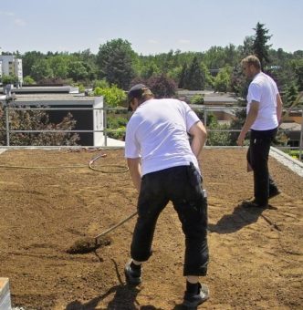 Optimale Dämmung – auch mit einem Gründach – spart sogar im Sommer Energie