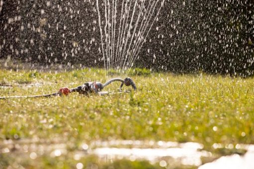 Hitze in Hamburg: HAMBURG WASSER rät: Viel trinken und ansonsten Wasser sparen