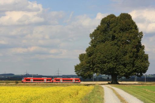 Moorbahn startet in die neue Saison