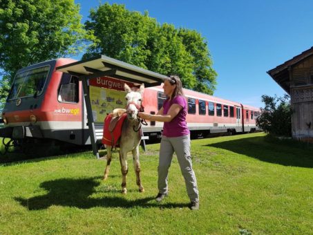 Ferienspaß mit der Räuberbahn