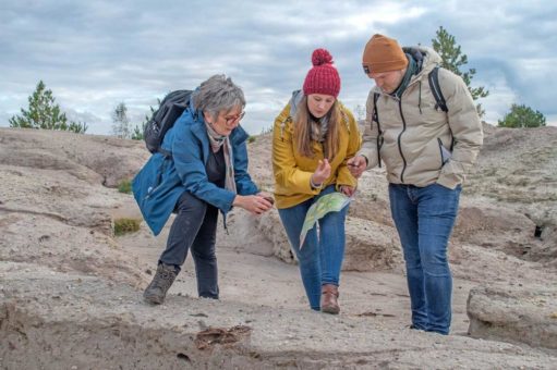 Wolf, Wild und Wein: Im Lausitzer Seenland wird der Herbst zum Erlebnis