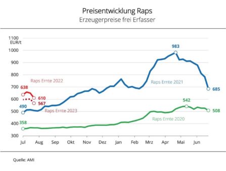 Überraschend gute Ergebnisse der Rapsernte sorgen für Preisdruck