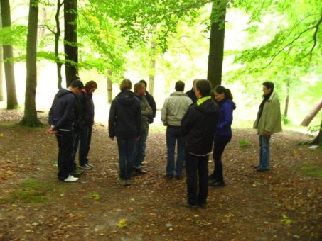 Natur-Coaching mit Teams