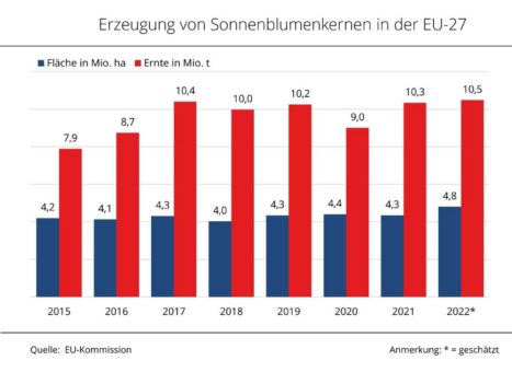 Anbauflächenplus bei EU-Sonnenblumen von Ertragsschwäche zunichte gemacht