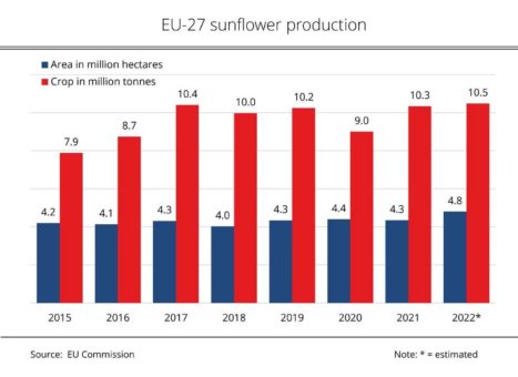 Increase in EU sunflower area neutralised by poor yields