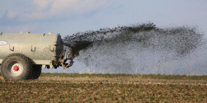 Für weniger Gülle und mehr Biodiversität: Raus aus der Massentierhaltung