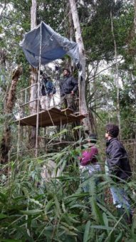 Hellabrunn unterstützt Artenschutzprojekt für Rubinkehltangare in Brasilien