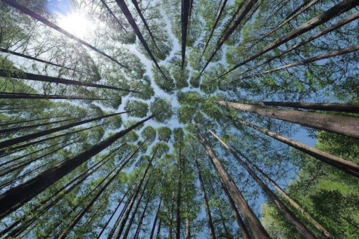 Waldbaden: Trost bei Trauer