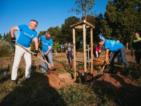 Der Freiwilligentag der Metropolregion Rhein-Neckar rückt näher: knapp ein Monat bis zum großen Mitmach-Event!