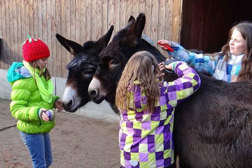 Mit Eseln wandern und Zoo-Rätsel lösen: Tierische Herbsterlebnisse im Lausitzer Seenland