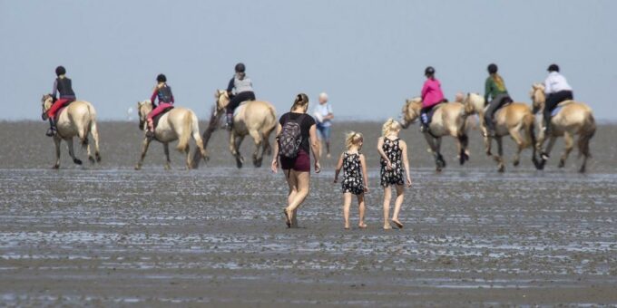 Urlaub im Sattel im Nordseeheilbad Cuxhaven