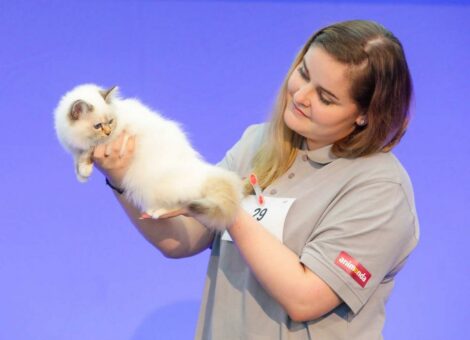 Themengebiet Katze kehrt auf die TIERisch gut 2022 zurück