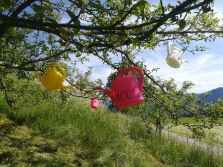 Sinneswandel auf der neuen Wiesen-Klimarunde im Naturpark Ammergauer Alpen