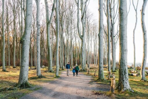 Winter-Wandertipps für Familien in Mecklenburg-Vorpommern