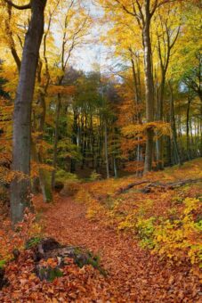 Herbstferien in Mecklenburg-Vorpommern