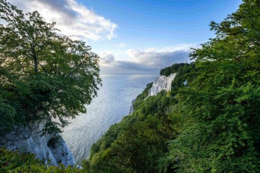 Nationalpark-Zentrum Königsstuhl lädt zur digitalen Wissens- und Mitmachreise ein