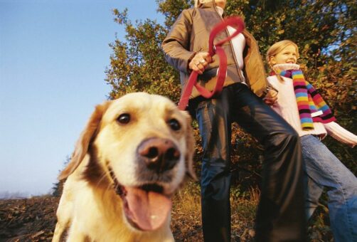 Mit dem Hund auf die Halbinsel