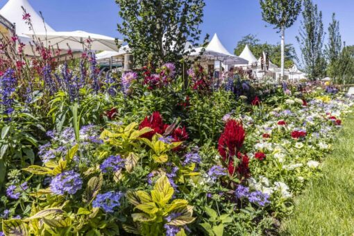 Der Südschwarzwald ruft! Schwarzwalds sonnigen Süden auf der Landesgartenschau kennenlernen