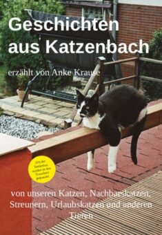 Eine Buch-Neuvorstellung des Romeon-Verlages:  Geschichten aus Katzenbach