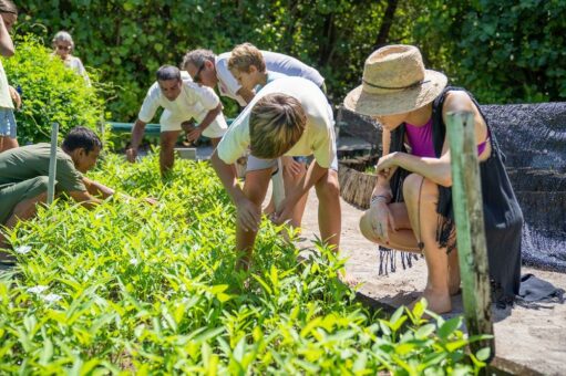 Six Senses Laamu launcht das Sustainability Camp