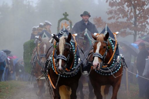 Tradition zu Pferd in Bad Tölz: Die Leonhardifahrt lockt mit Segen und Sehenswertem