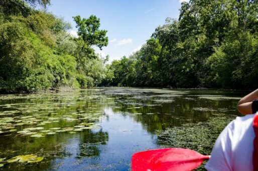 Karlsruhe für alle: Mit den Gruppenangeboten der KTG Karlsruhe Tourismus GmbH wird Karlsruhe auf jede Weise erlebbar