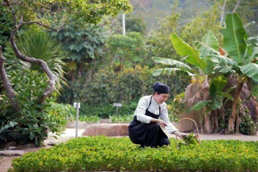 Six Senses Ninh Van Bay schaltet die Sonne an