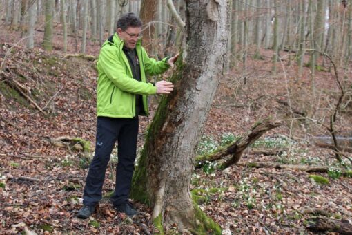 Europäischer Tag der Parke 2020