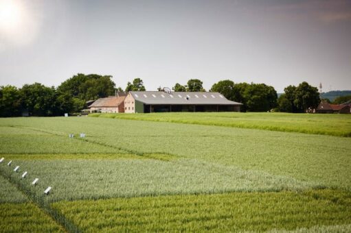 Bayer zeigt, wie Ernährungssicherheit und die Bekämpfung des Klimawandels gemeinsam gelingen können