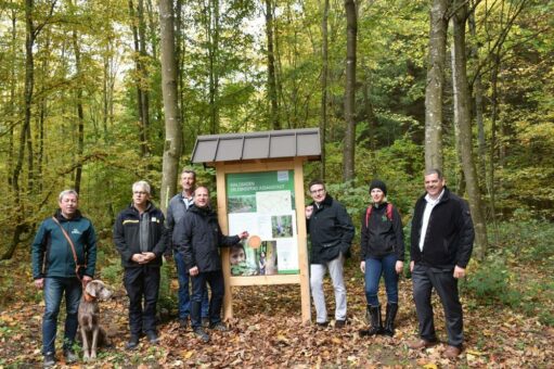 Waldbaden-Erlebnispfad in Assamstadt eröffnet