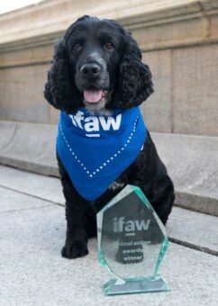 Animal Action Awards: IFAW ehrt Tierheld:innen in London