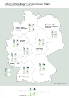 Struktur der Mühlenwirtschaft: Anzahl der Handelsmühlen leicht gesunken – Vermahlung deutlich angestiegen