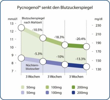 Meereskiefernextrakt reguliert effektiv den Blutzuckerspiegel