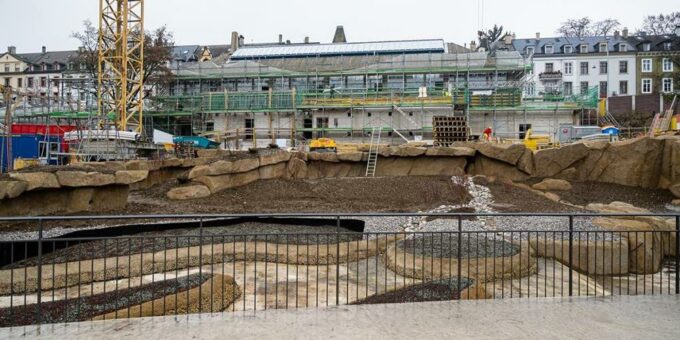 Gesamtprojekt «Vogelhaus» – ein Blick hinter die Kulissen