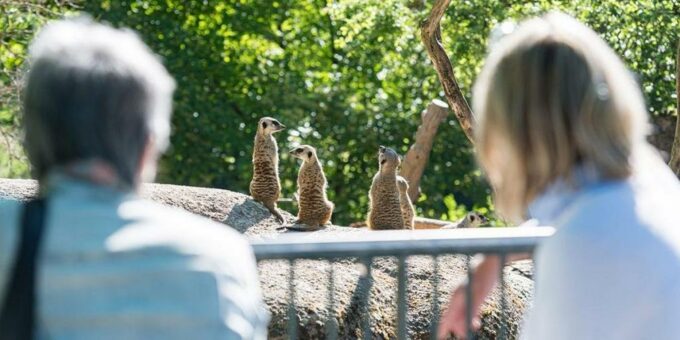 Zoo Basel Geschäftsbericht 2020 erschienen